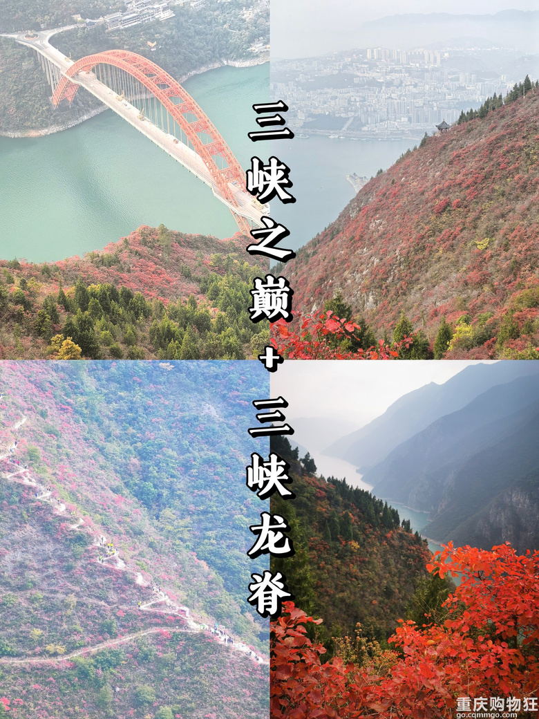 登三峡最震撼的徒步路线，赏最美红叶！