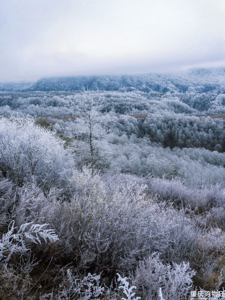 南方小土豆看雪不往北，冰雪季石棉旅游攻略，滑雪赏雪来这就Ok
