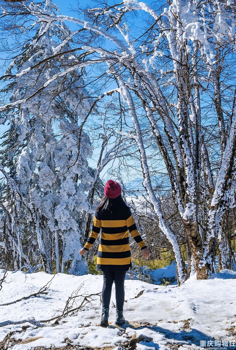南方小土豆看雪不往北，冰雪季石棉旅游攻略，滑雪赏雪来这就Ok