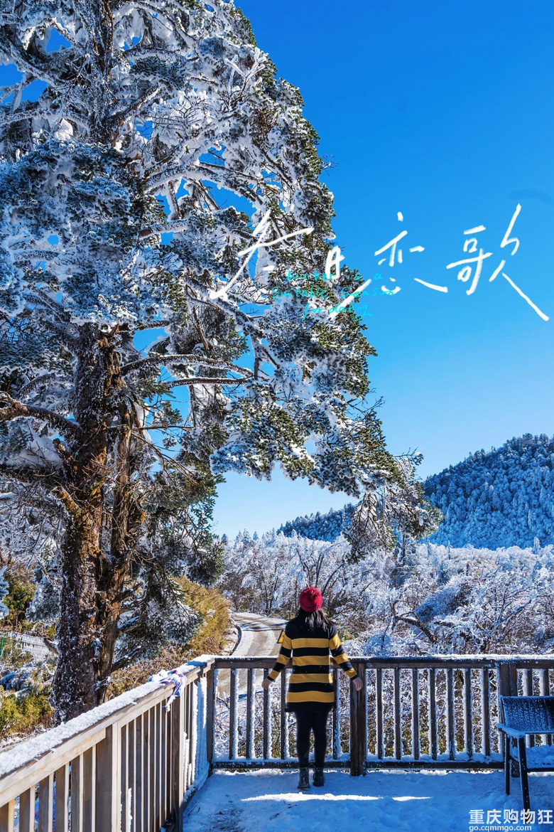 南方小土豆看雪不往北，冰雪季石棉旅游攻略，滑雪赏雪来这就Ok