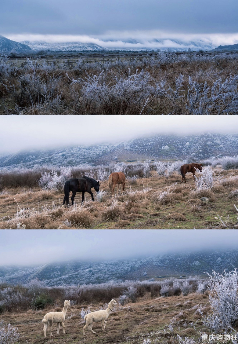 南方小土豆看雪不往北，冰雪季石棉旅游攻略，滑雪赏雪来这就Ok