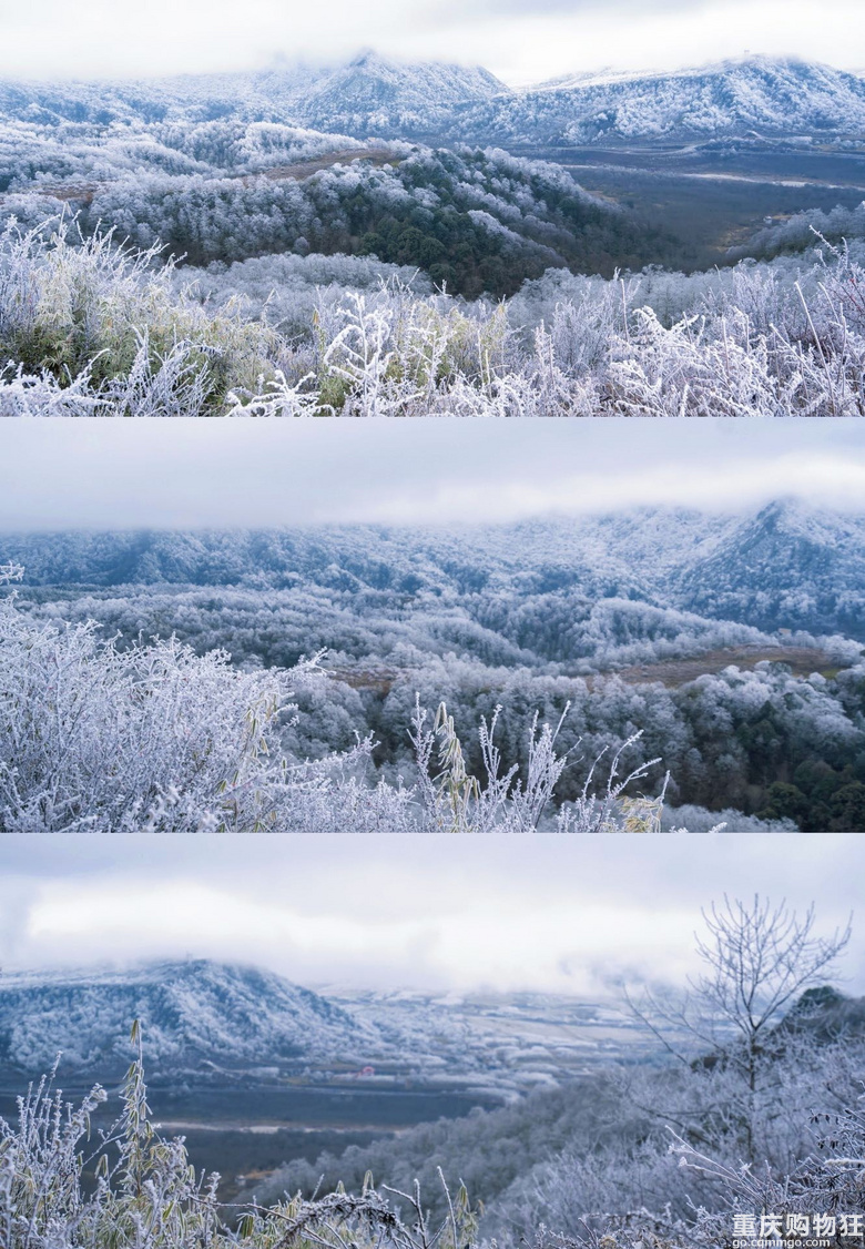 南方小土豆看雪不往北，冰雪季石棉旅游攻略，滑雪赏雪来这就Ok