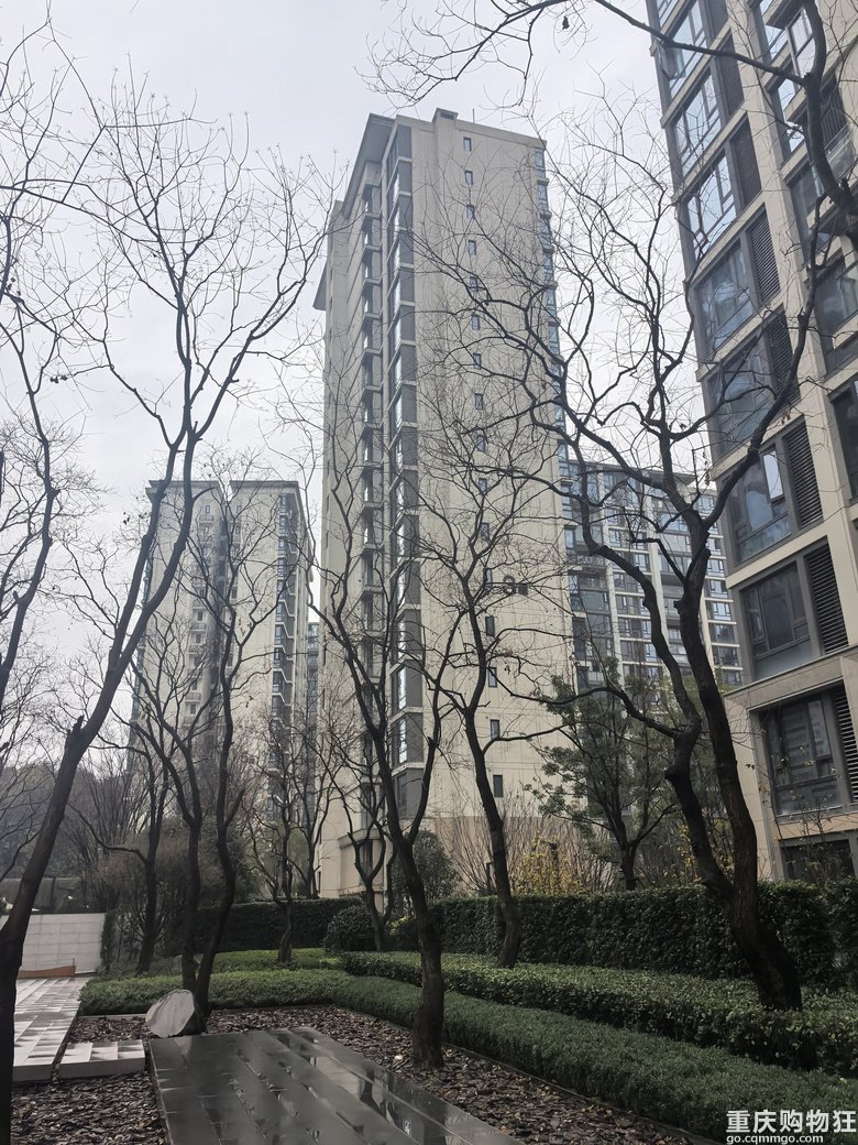 周末有一起去看华润半山一下的么