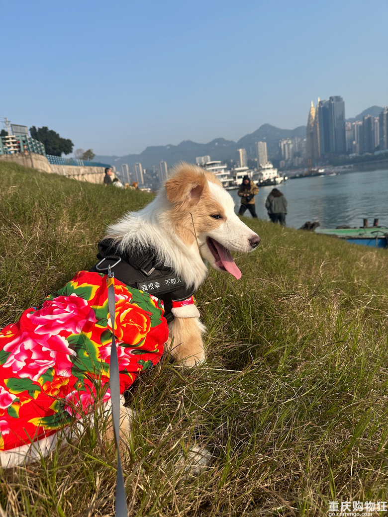 过年了，穿新衣服