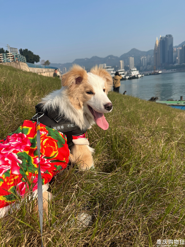 过年了，穿新衣服