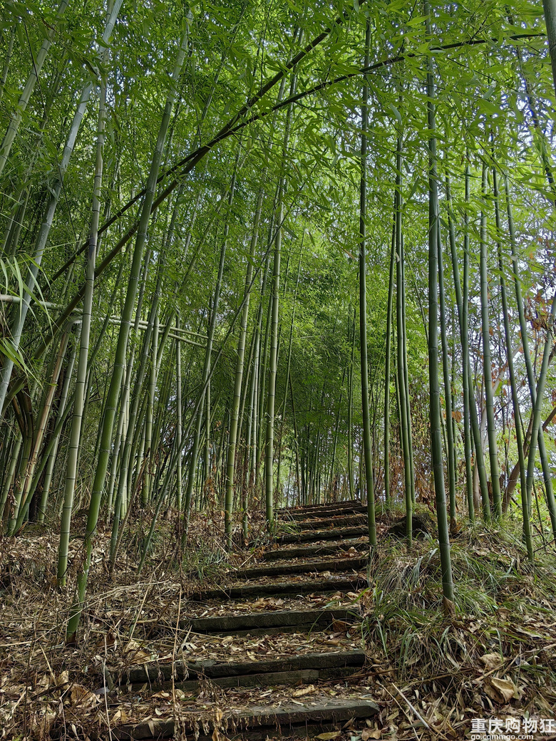 徒步成渝古道东小路第八天重庆大足区高坪镇-四川安岳县石羊镇