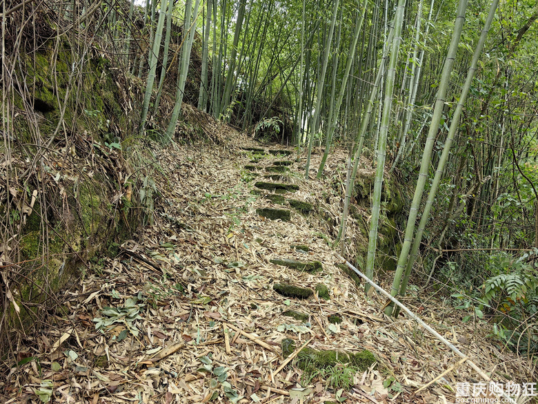 徒步成渝古道东小路第八天重庆大足区高坪镇-四川安岳县石羊镇