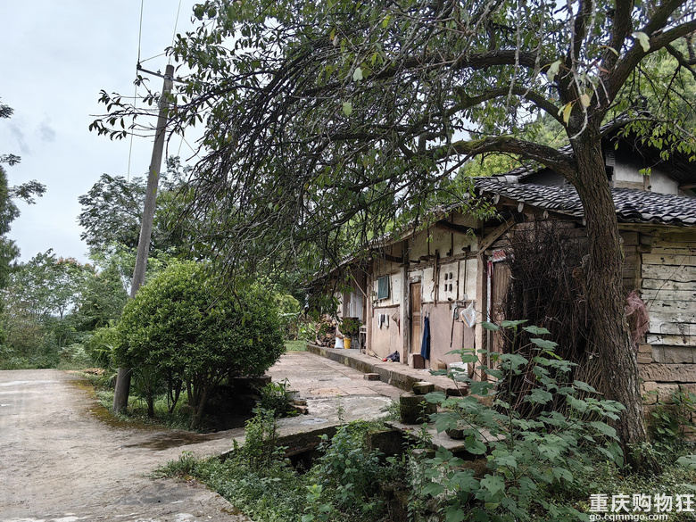徒步成渝古道东小路第八天重庆大足区高坪镇-四川安岳县石羊镇