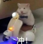 ����ȫ�ҳ��εČ��س��У���������ƽ̶����ʳ������ҹ���Բ���