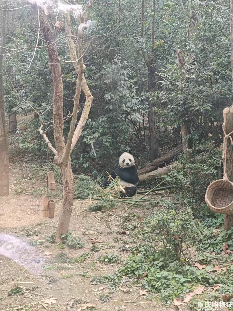 总结2024年去过的地方