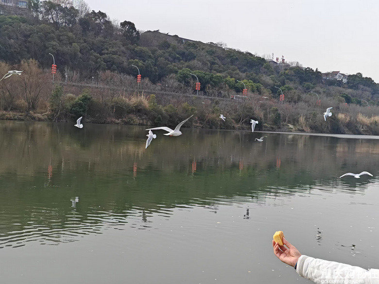 总结2024年去过的地方