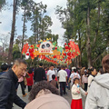 总结2024年去过的地方