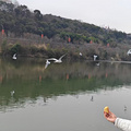 总结2024年去过的地方