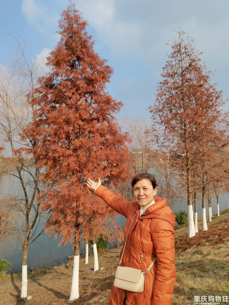 给妈妈寻个有缘人，做儿女的，戳和戳和