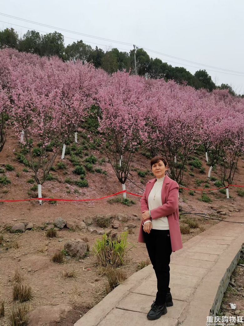 给妈妈寻个有缘人,做儿女的,戳和戳和