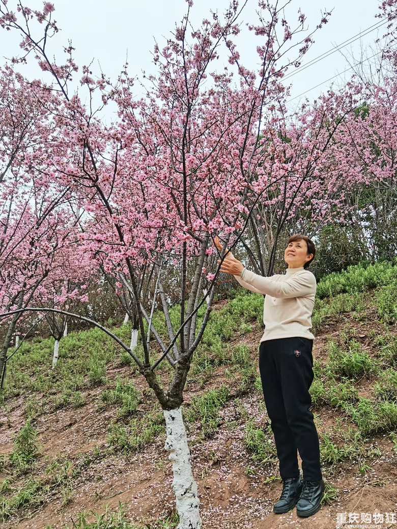 给妈妈寻个有缘人，做儿女的，戳和戳和