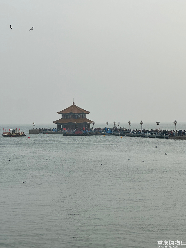 青岛、威海、烟台好玩儿又便宜~