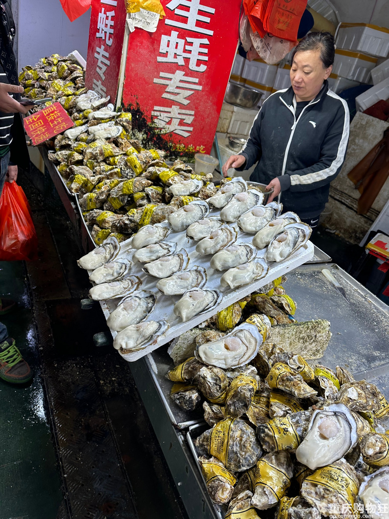 青岛、威海、烟台好玩儿又便宜~