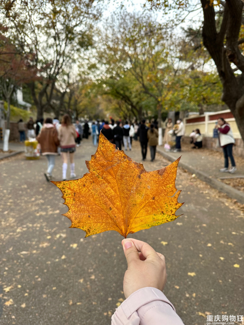 青岛、威海、烟台好玩儿又便宜~