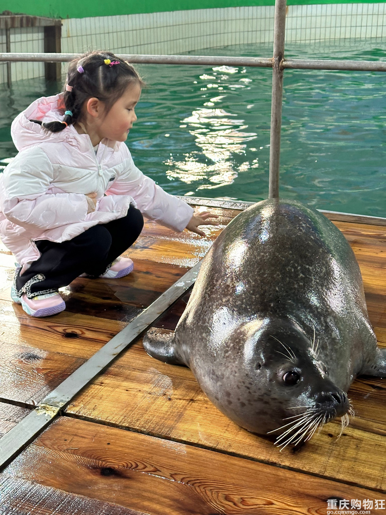 青岛、威海、烟台好玩儿又便宜~