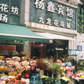 杨家坪的九龙花鸟市场即将整改？全场特价！管管实探一波