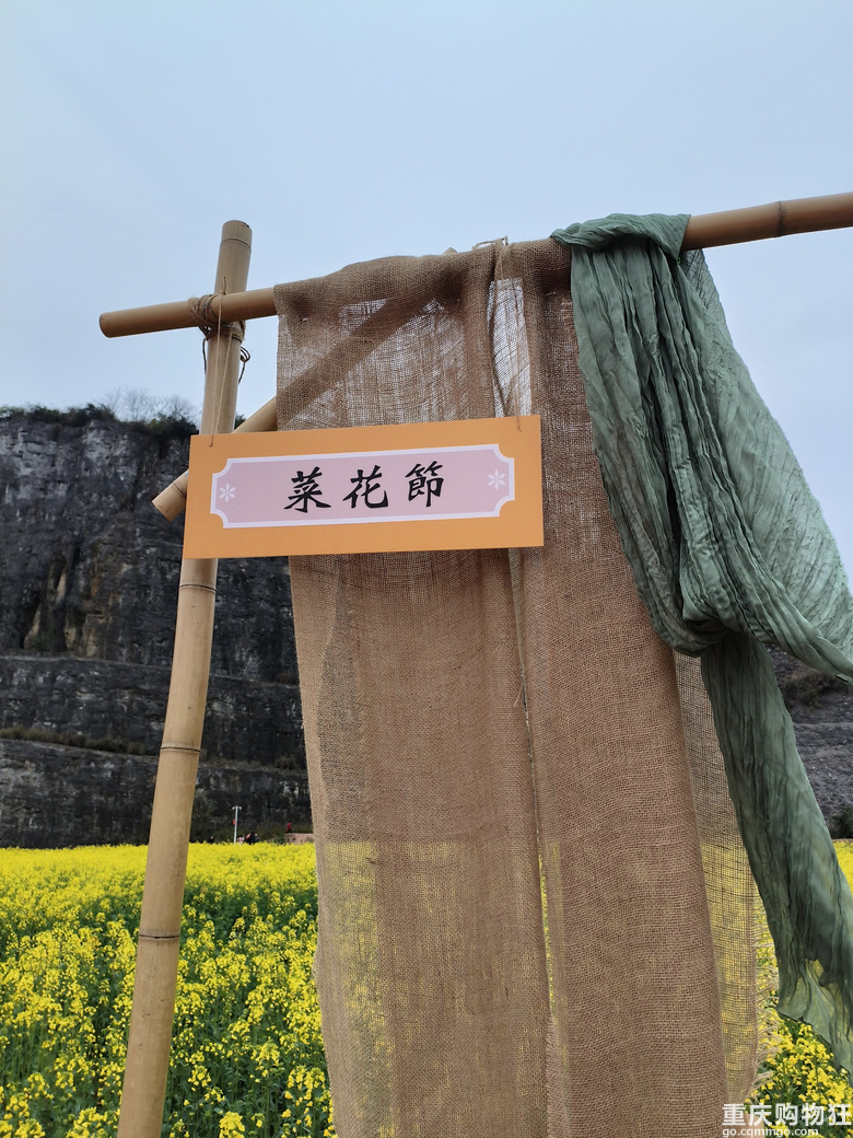 油菜花