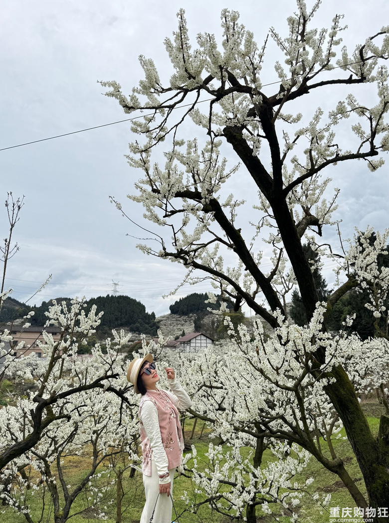 印盒花如雪