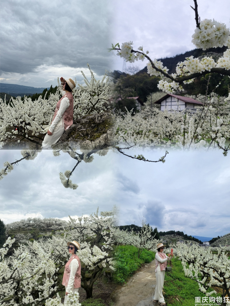 印盒花如雪