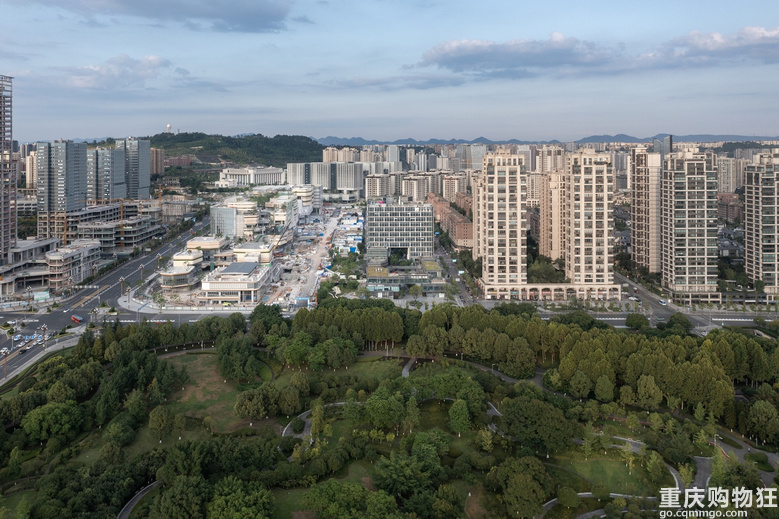 重庆中央公园·光里商铺，其价值如何？