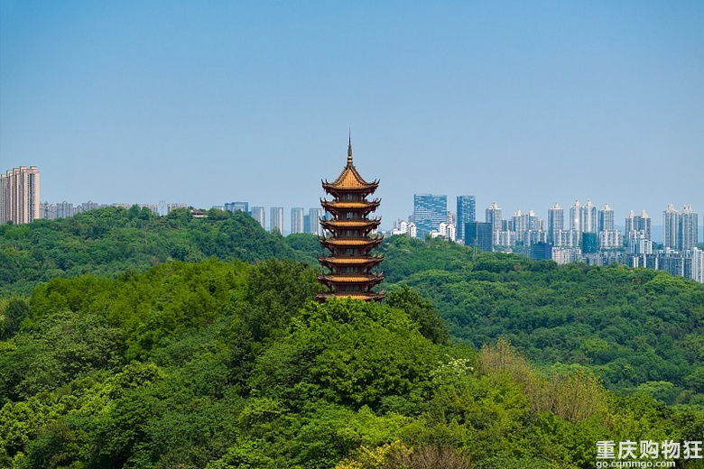 重庆前三的热门板块及代表楼盘