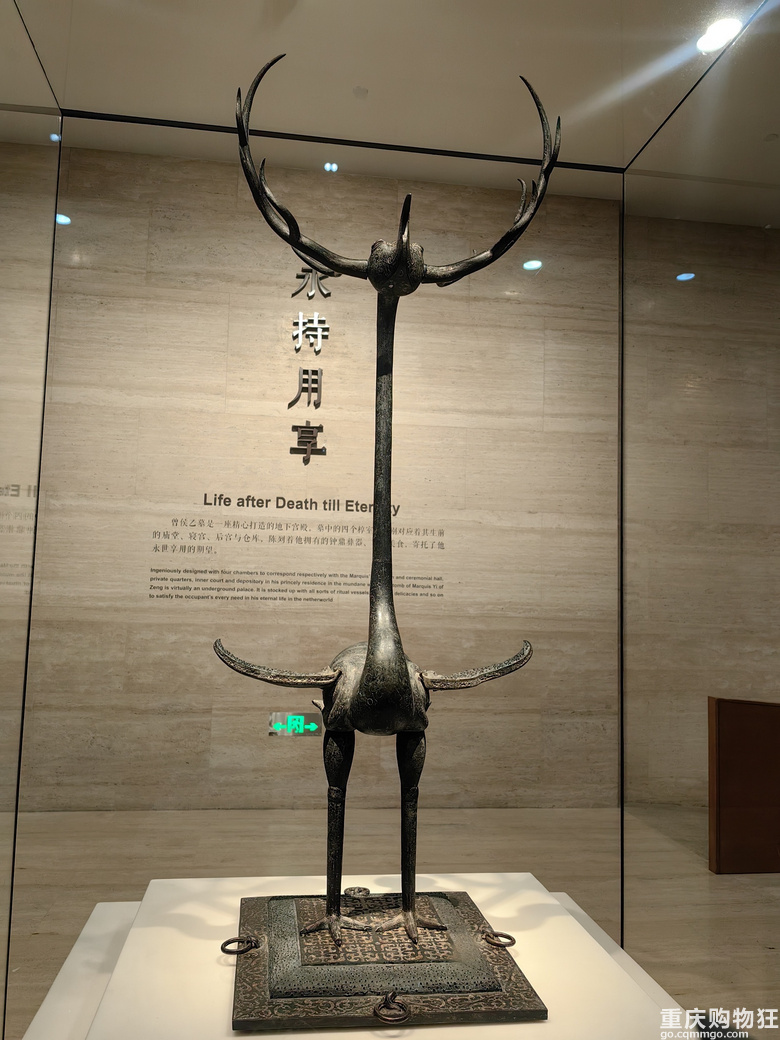 周末两天武汉特种兵，赏樱花、逛省博、游武大，相当完美