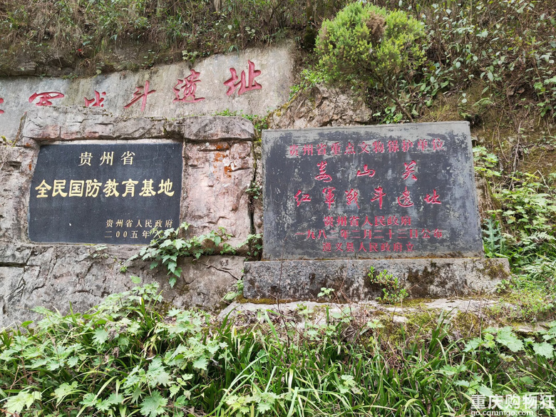 2025年清明自驾游之娄山关