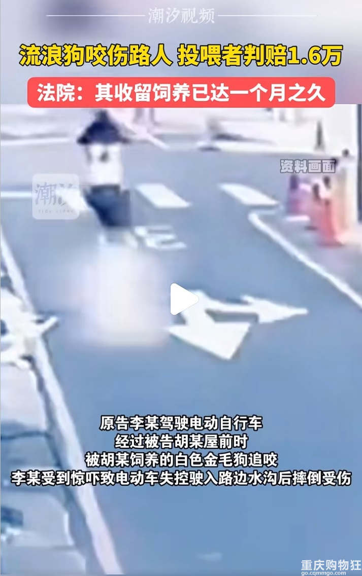 养了就不是流浪狗啦，应该全责才对
