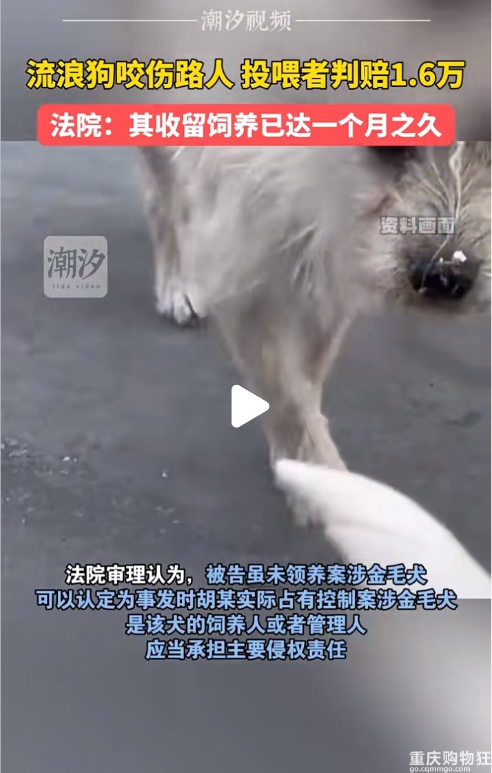 养了就不是流浪狗啦，应该全责才对