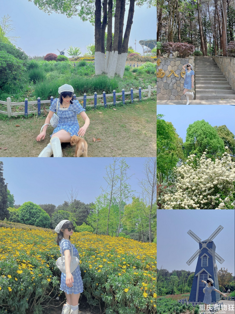 夏日第一张照片夏日限定