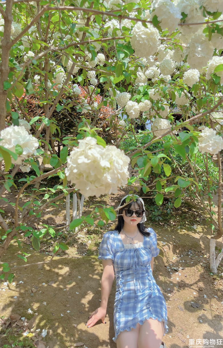夏日第一张照片夏日限定