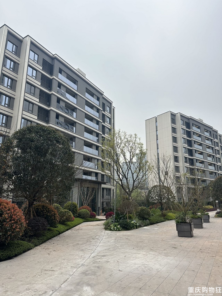 龙湖青云阙，样板间出售