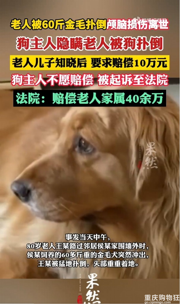 老人被邻居家宠物狗扑倒致死！法院判了