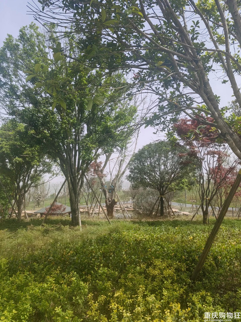 渝北鹿山公园