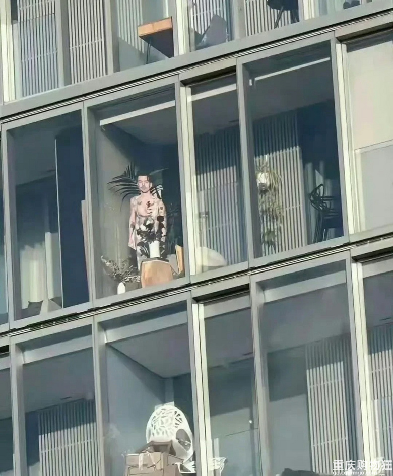 邻居迷惑行为大赏，对面家的玻璃吓懵我了！