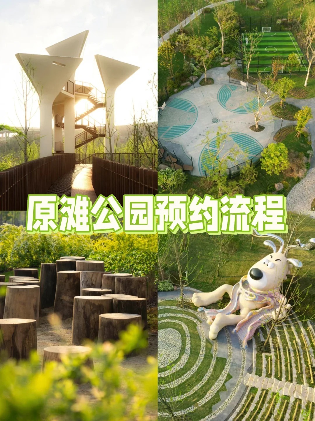 准妈圈