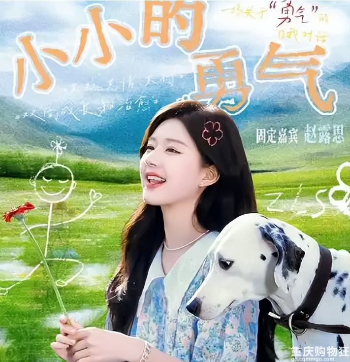 节目遭停播，为何让赵露思背锅？