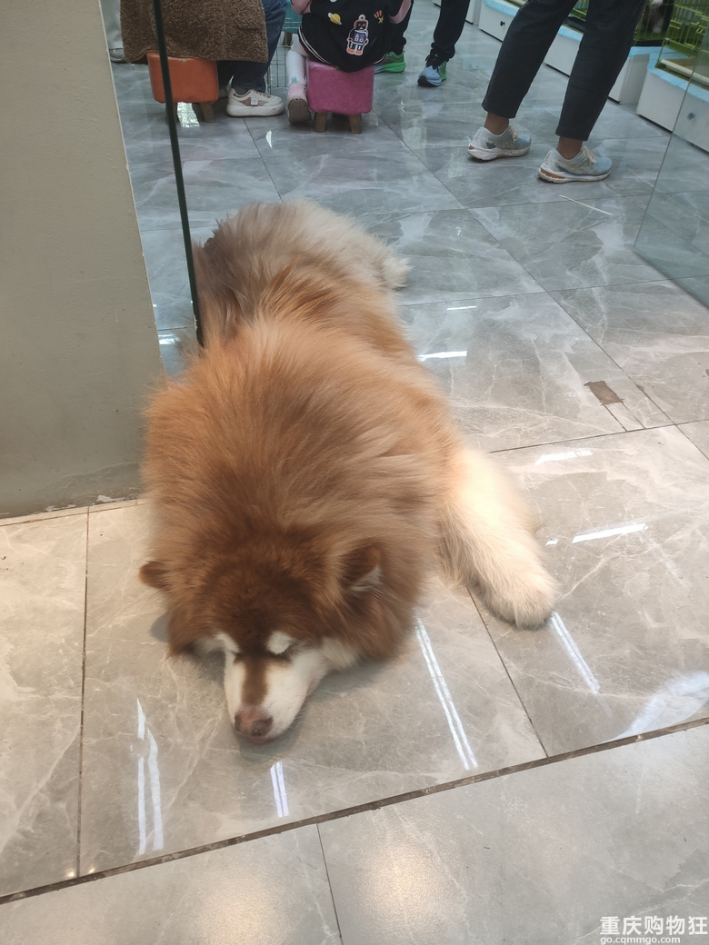 会不会有人和我一样还不知道这个游玩拍照带娃圣地