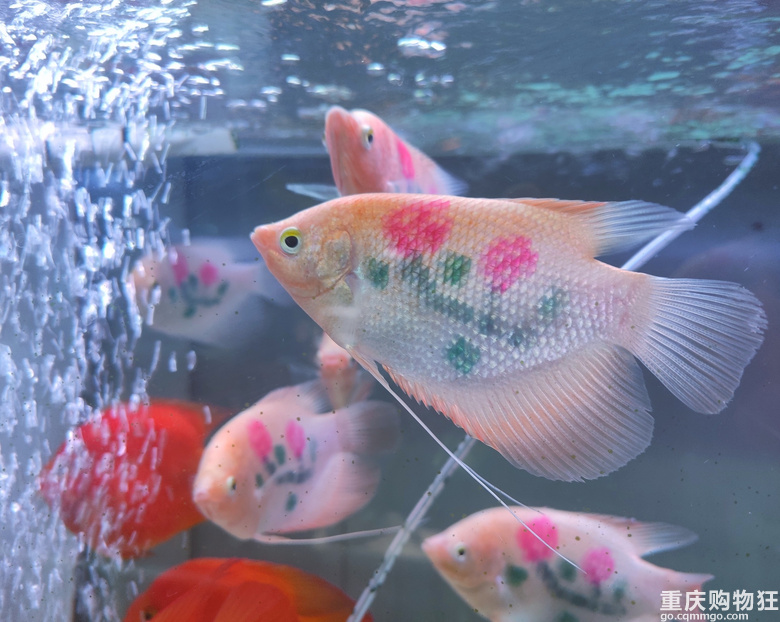 会不会有人和我一样还不知道这个游玩拍照带娃圣地