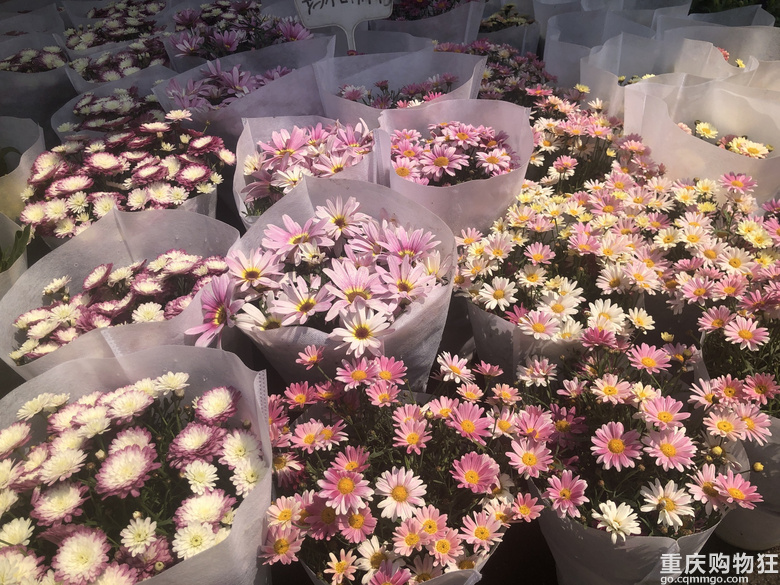 会不会有人和我一样还不知道这个游玩拍照带娃圣地