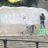 有图有真相更新