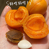 ½СӺóԵ
