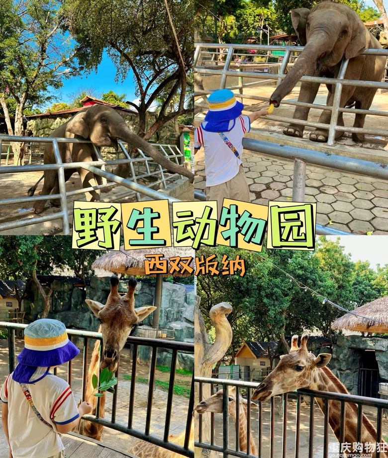 ���c�H��5���Σ������p��{�w��������֣��c�������H�ܻ���