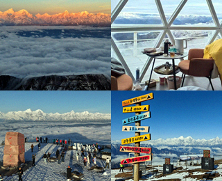 ȥţɽסƵ꣬3ֻҪ880