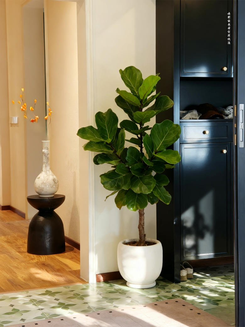 ס�ڼ�����ɵı������죬4���¾��������ˣ�